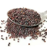 Tajemství německých hospodyněk: Jak vám hořčice pomůže k dokonalé podlaze beze šmouh tajemstvi-nemeckych-hospodynek-jak-vam-horcice-pomuze-k-dokonale-podlaze.webp.webp